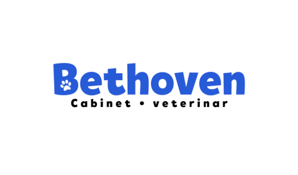 Bethoven