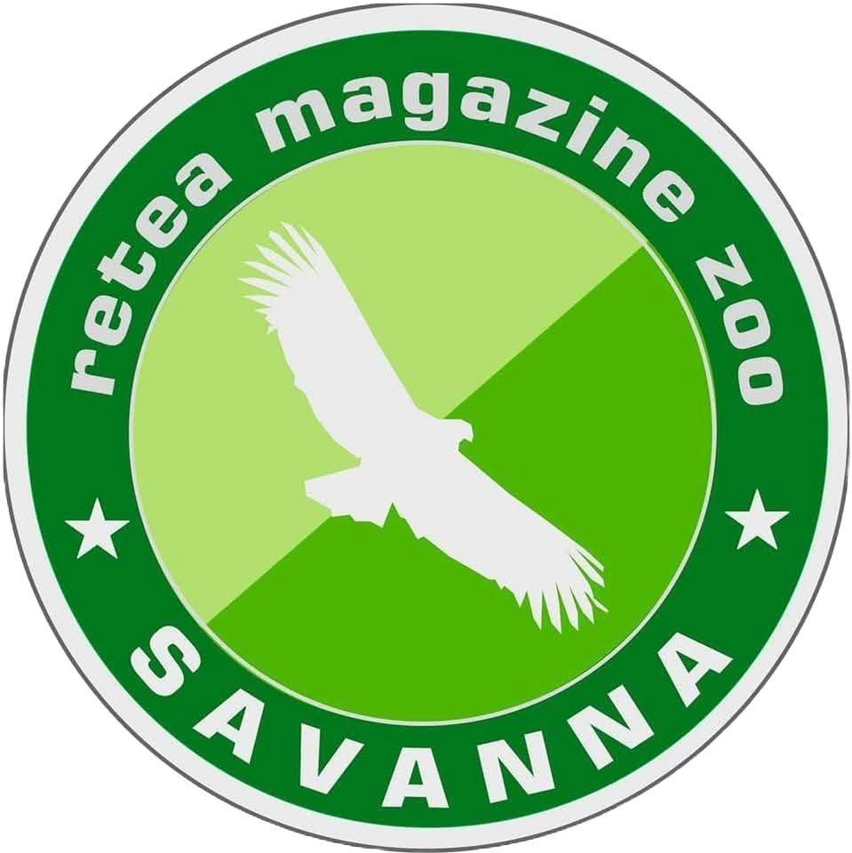 Savanna Zoo Vet Salon