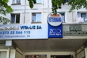 456345