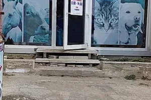 сысыс