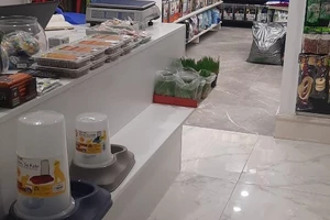 480653032_1132331062236557_361809065215184390_n