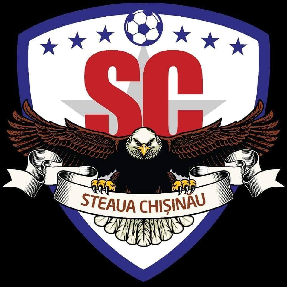 Футбольная академия Steaua Forte