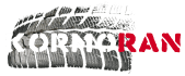 Kormoran