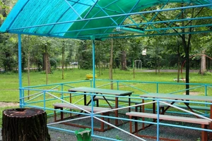 IMG_9309-768x512