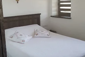658465465