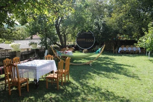 23_large_7461