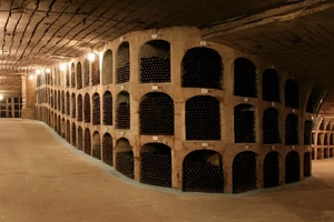 Milestii_Mici_cellars__3_