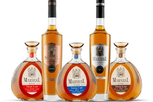 Marshal-min-1024x731-1