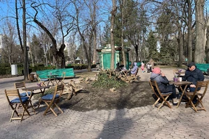 bonjour-cafe-terrace