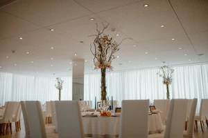 72946178_2596047437099553_2634857909476917248_n